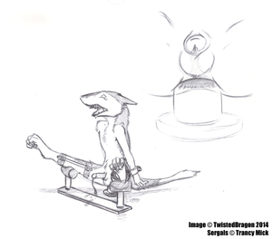 Gravity Punishment Sergal Edition