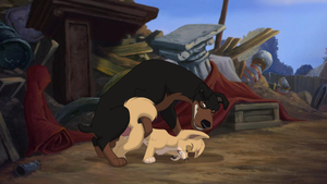 Buster and Angel