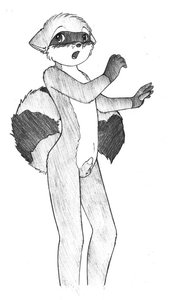 Raccoon Commission - Jade