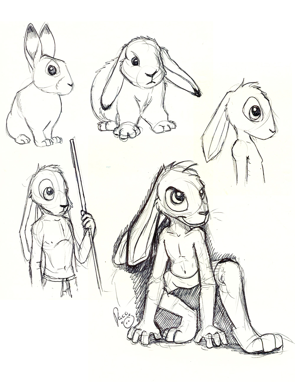 947305_pandapaco_26kyo_ixtarfdi.jpg