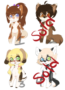 Cub adopt auction:Sold