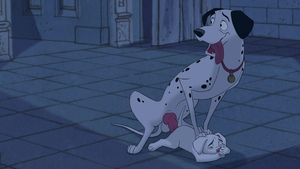 Pongo and Oddball
