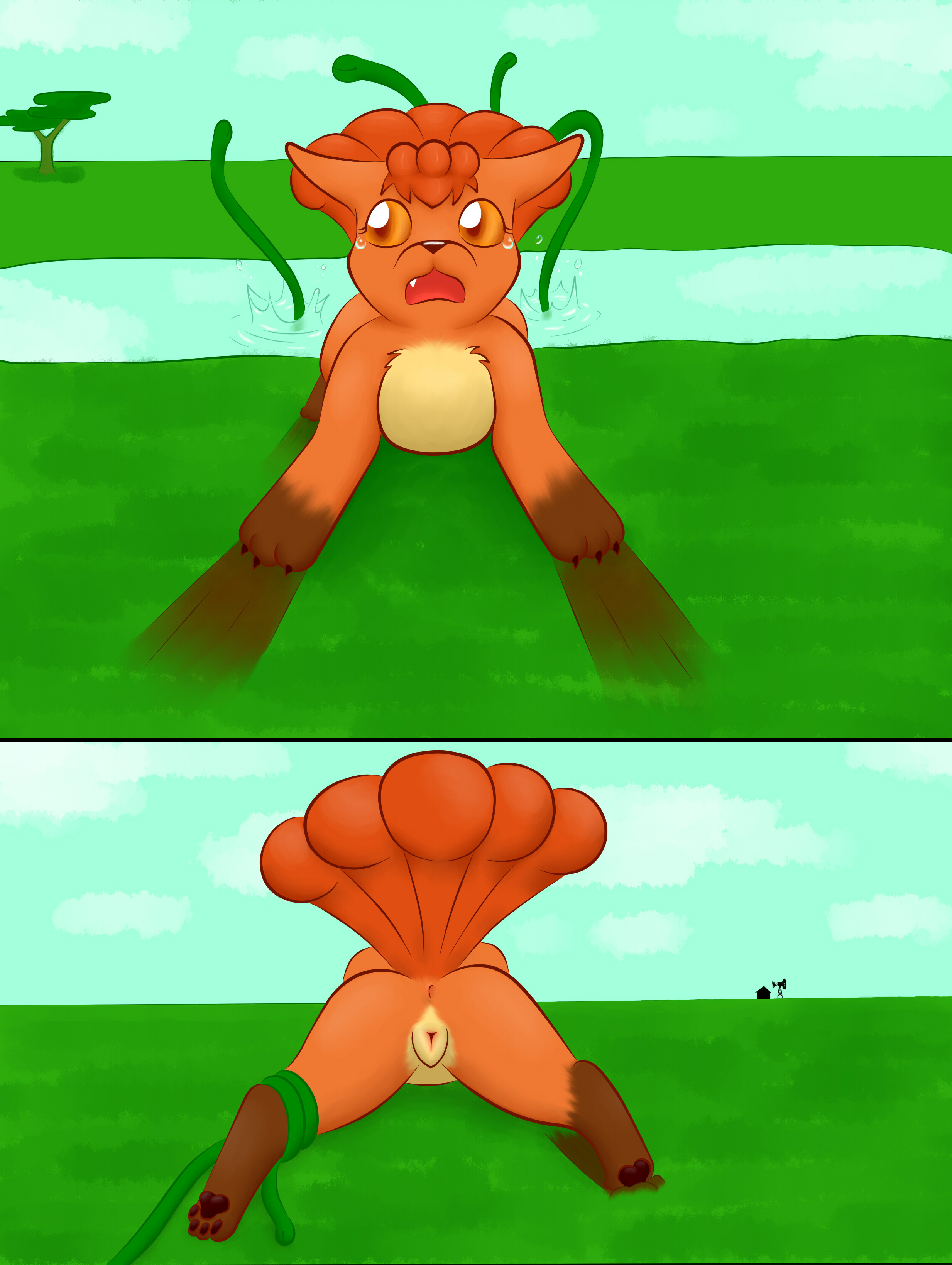 961930_Animew_pondsidepix2.jpg