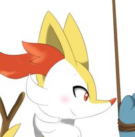 Braixen X Riolu