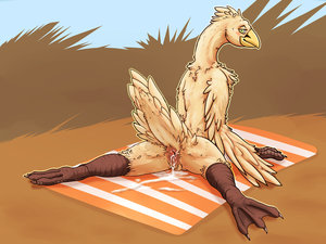 wet bird