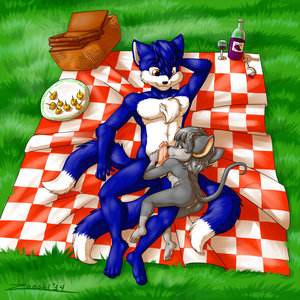 Picnic