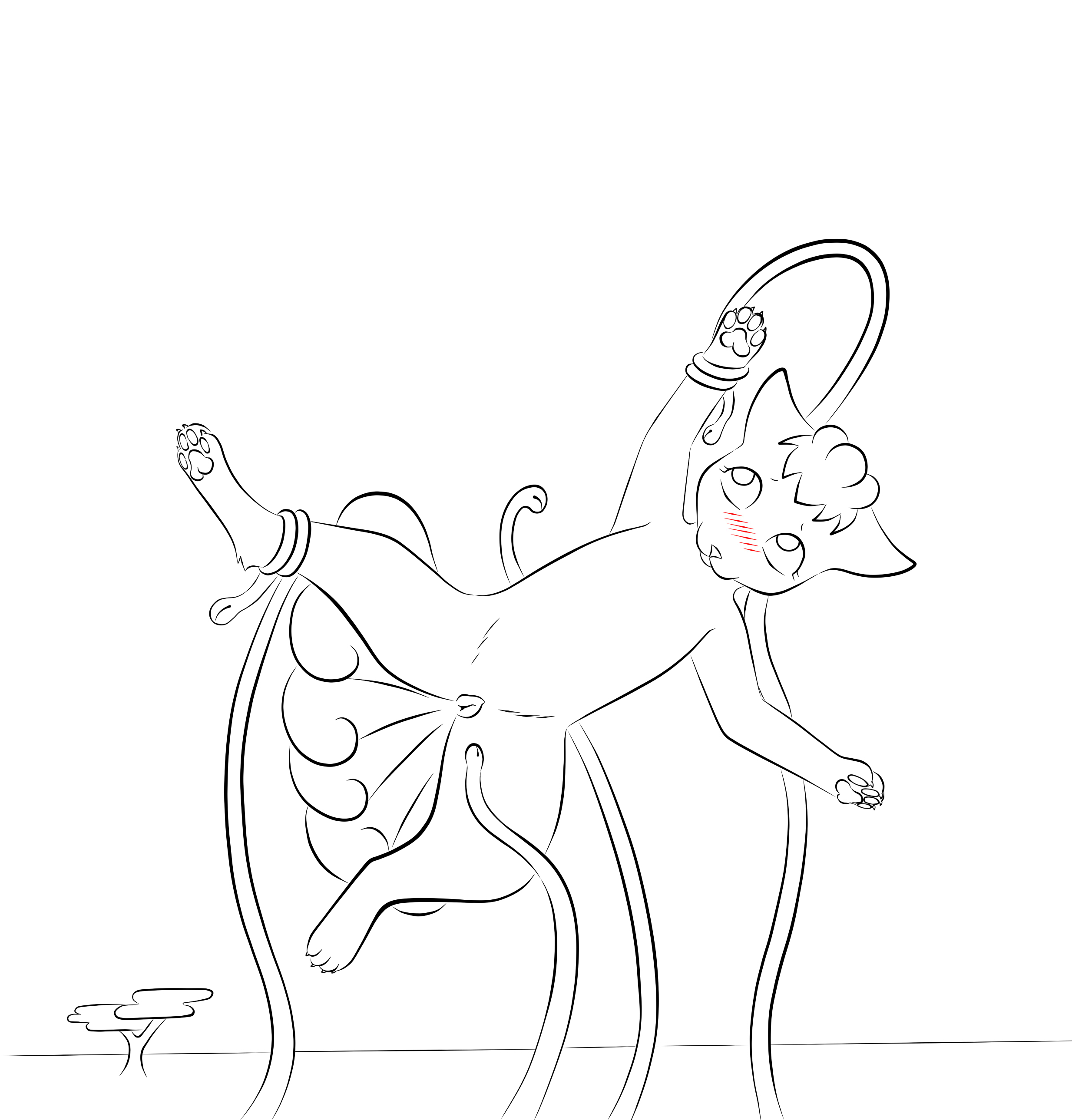 979413_Animew_lines_3.jpg