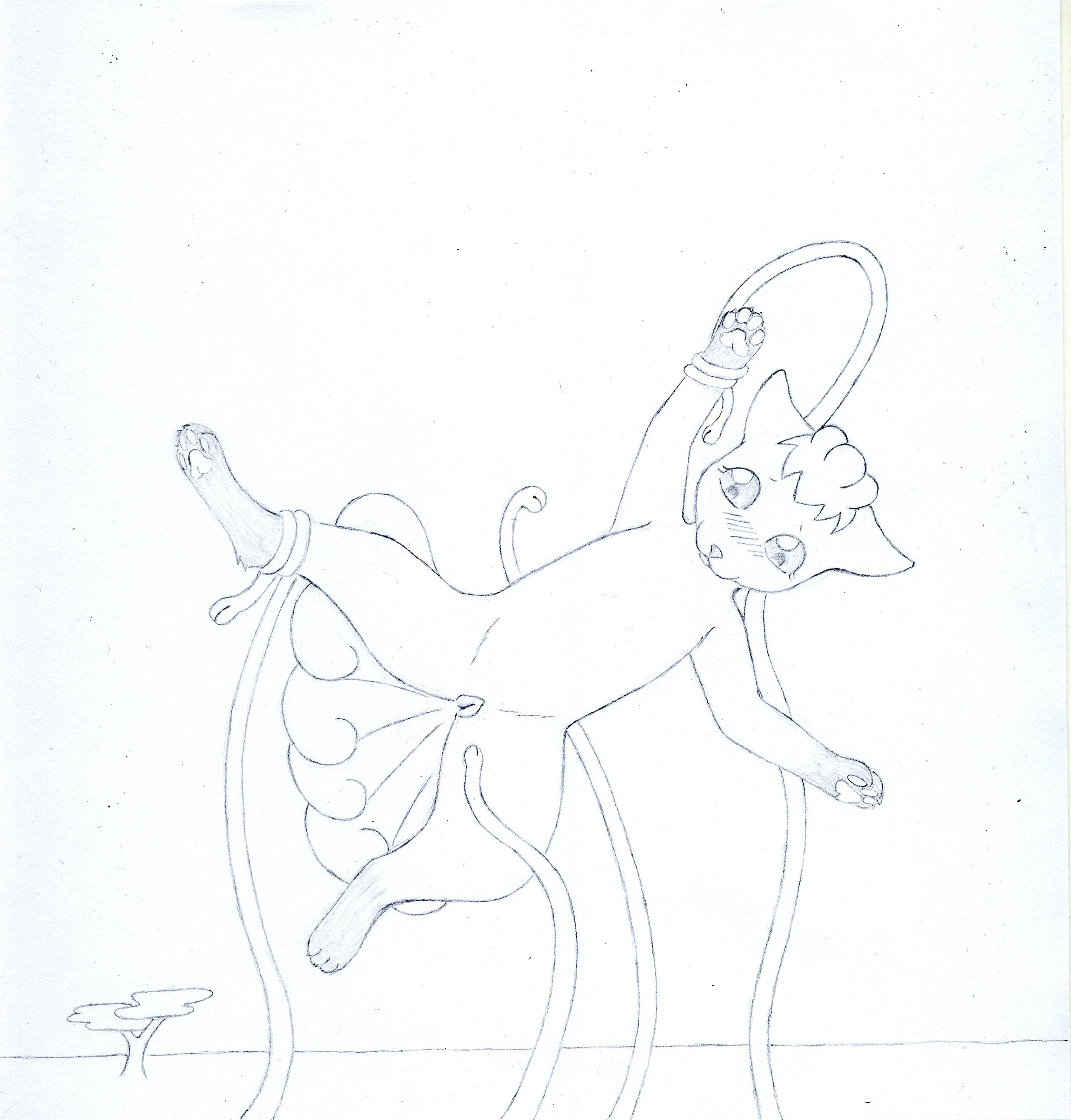 979414_Animew_image_3_clnsktch.jpg