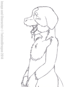 981529_TwistedDragon_jennifer_soapy_maw.png