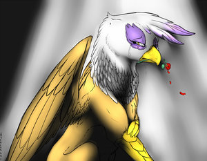 To love a Griffon...