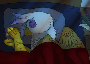 Sleeping gilda