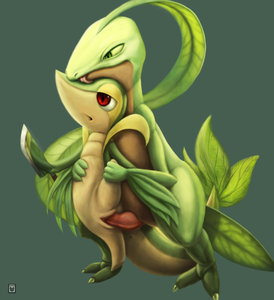 grovyle and snivy sex