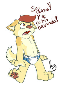987674_pandapaco_35balt_diapers.jpg