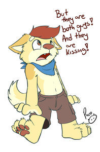 987677_pandapaco_35balt_shorts.jpg