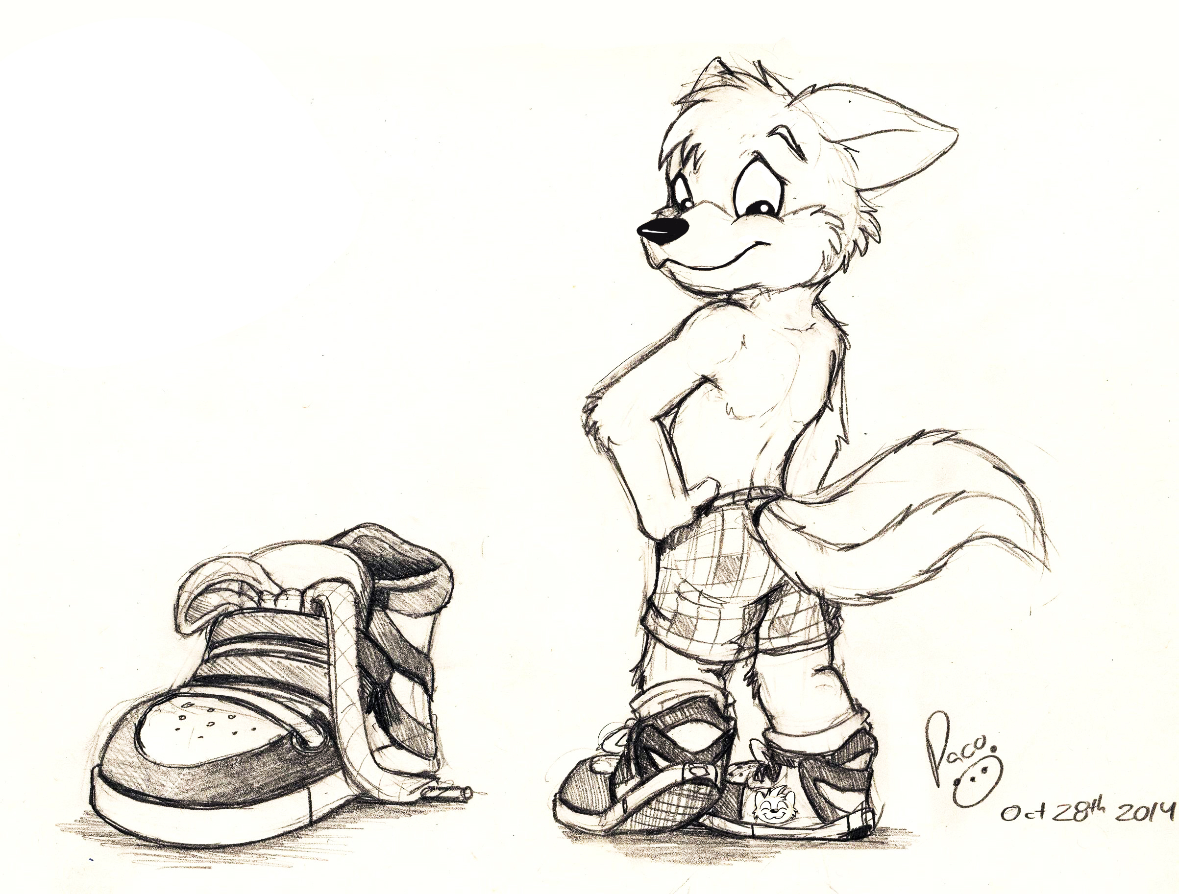987695_pandapaco_37sneakers.jpg