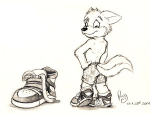 987695_pandapaco_37sneakers.jpg