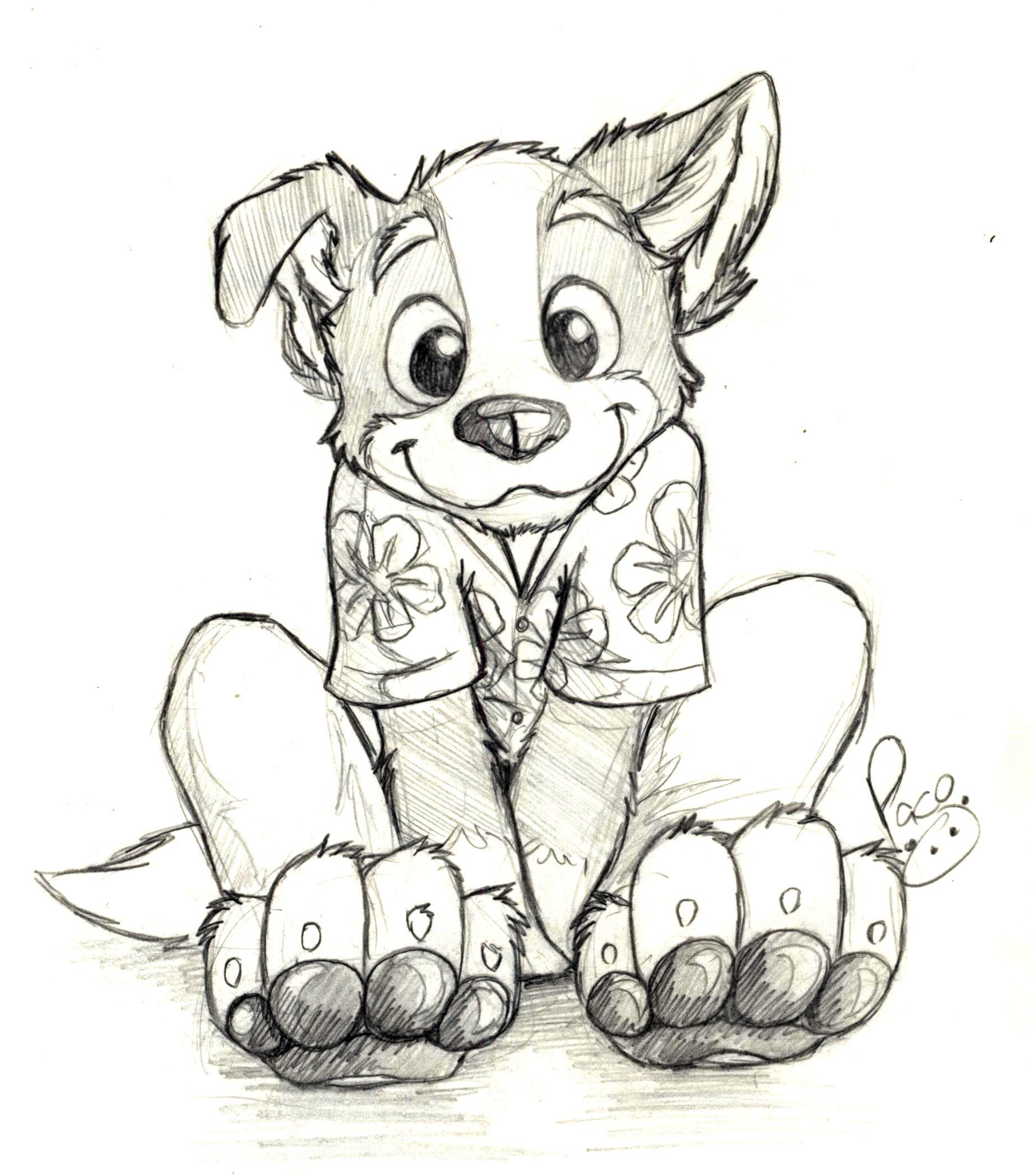 987705_pandapaco_39roni.jpg