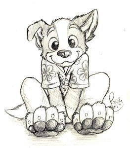 987705_pandapaco_39roni.jpg