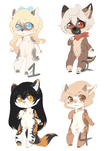 Cub adopt auction:Sold