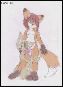 Comission for Lightfox