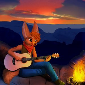 Canyon campfire