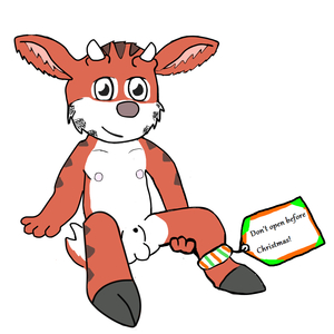 Secret Santa : )