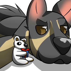 A dogs best friend