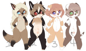 Cub Adopts Auction:Closed