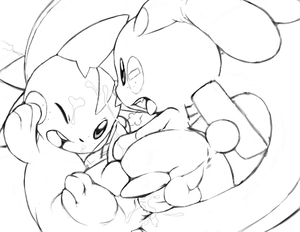pachirisu