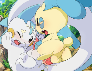 pachirisu