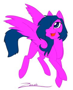 Pony