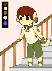 Adoptable: Heart-Collared Puppy