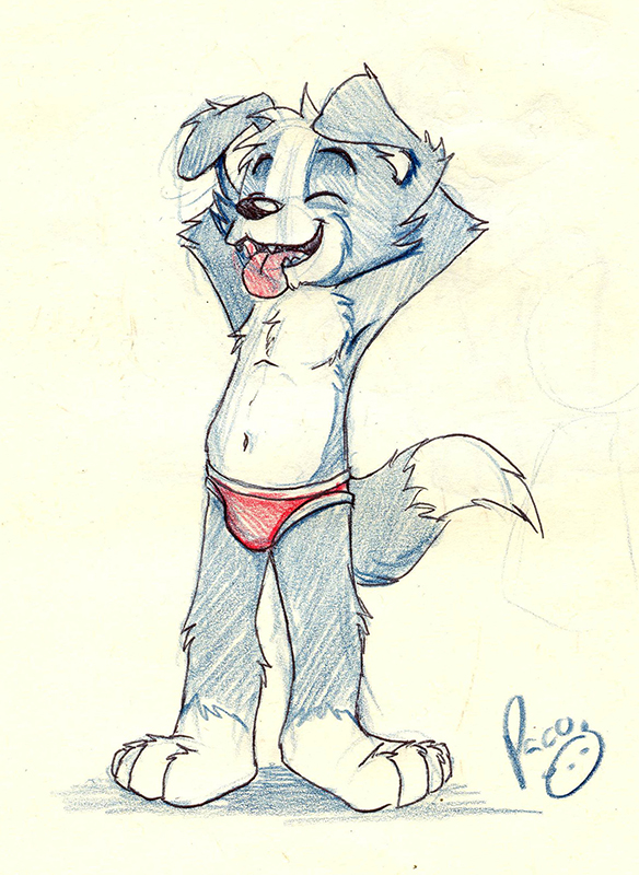 1066443_pandapaco_50_roni_en_chones.jpg