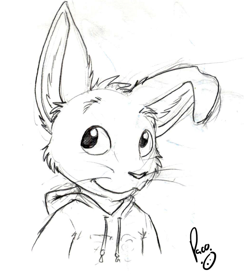 1066451_pandapaco_58_conejo_lindo.jpg