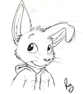 1066451_pandapaco_58_conejo_lindo.jpg