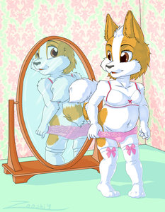 Dressing Kizgin