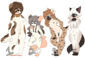 Adopt Auction:closed