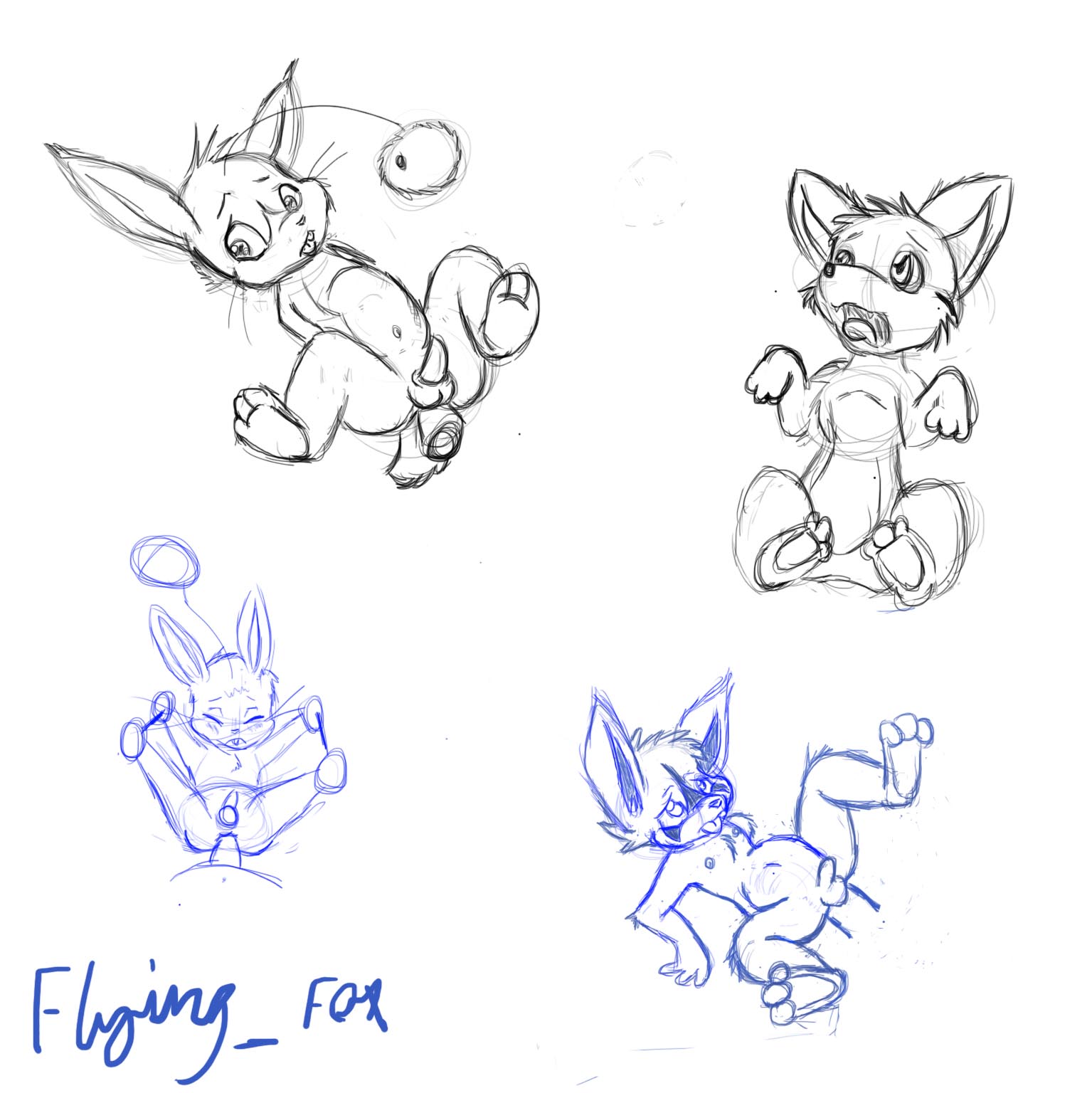 104303_FlyingFox_tablet_sketches.jpg