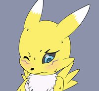 Renamon! 