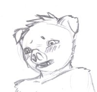 Oink