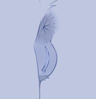 Dog doodle