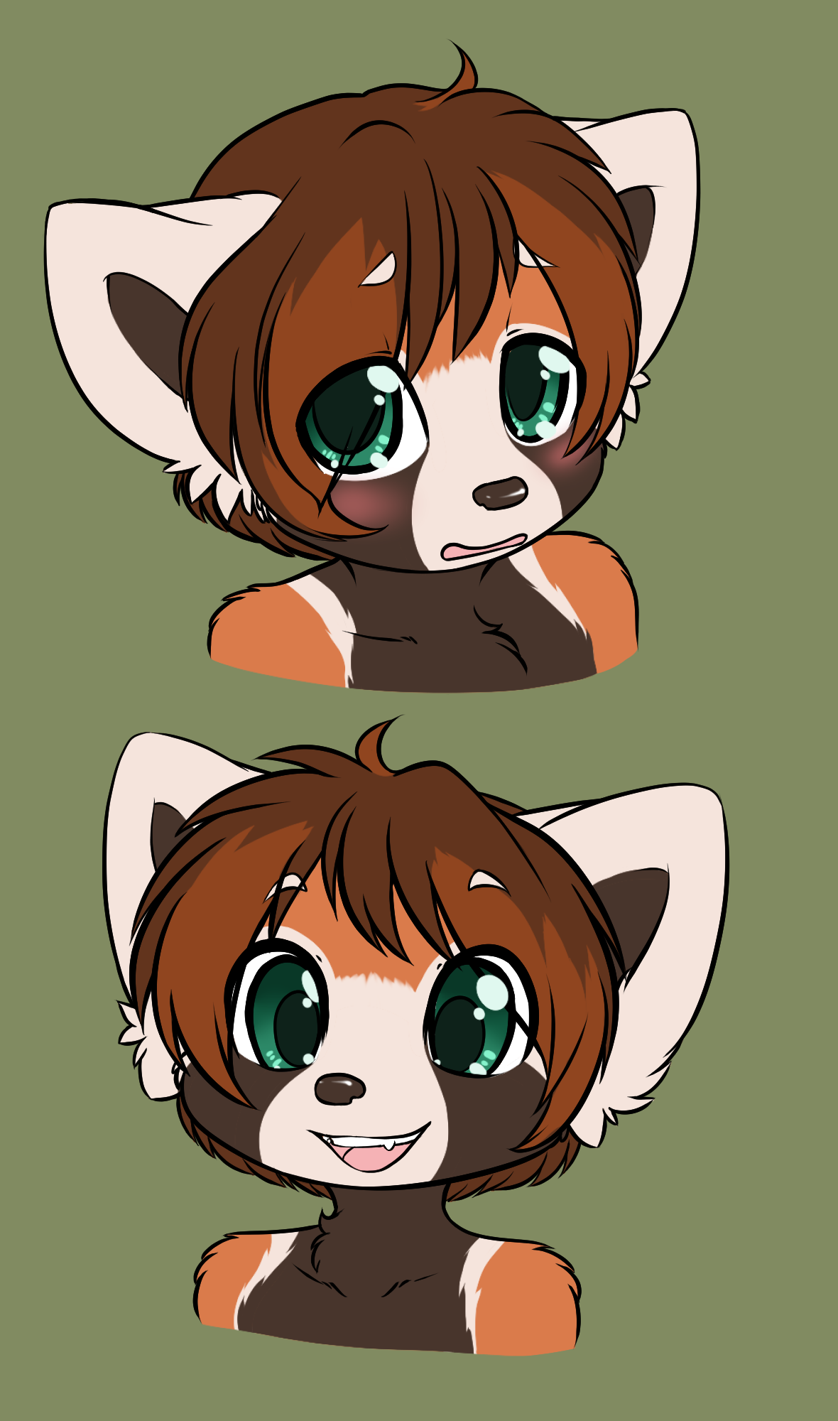 1083429_Spix_cm_-_ben_panda_sheet_close_ups.png