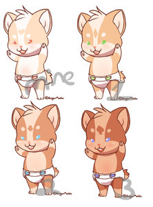 Corgi Siblings:All taken