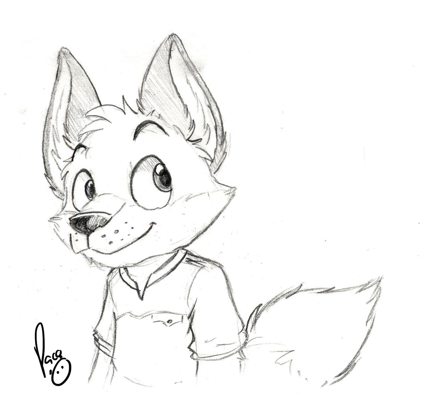 1087356_pandapaco_64_biro_lindo.jpg