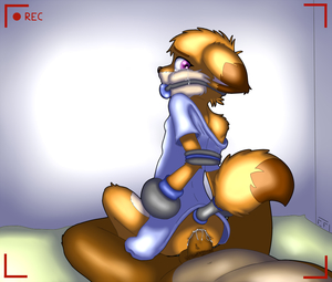 Riding (colored)