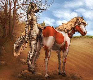 Loving the mare