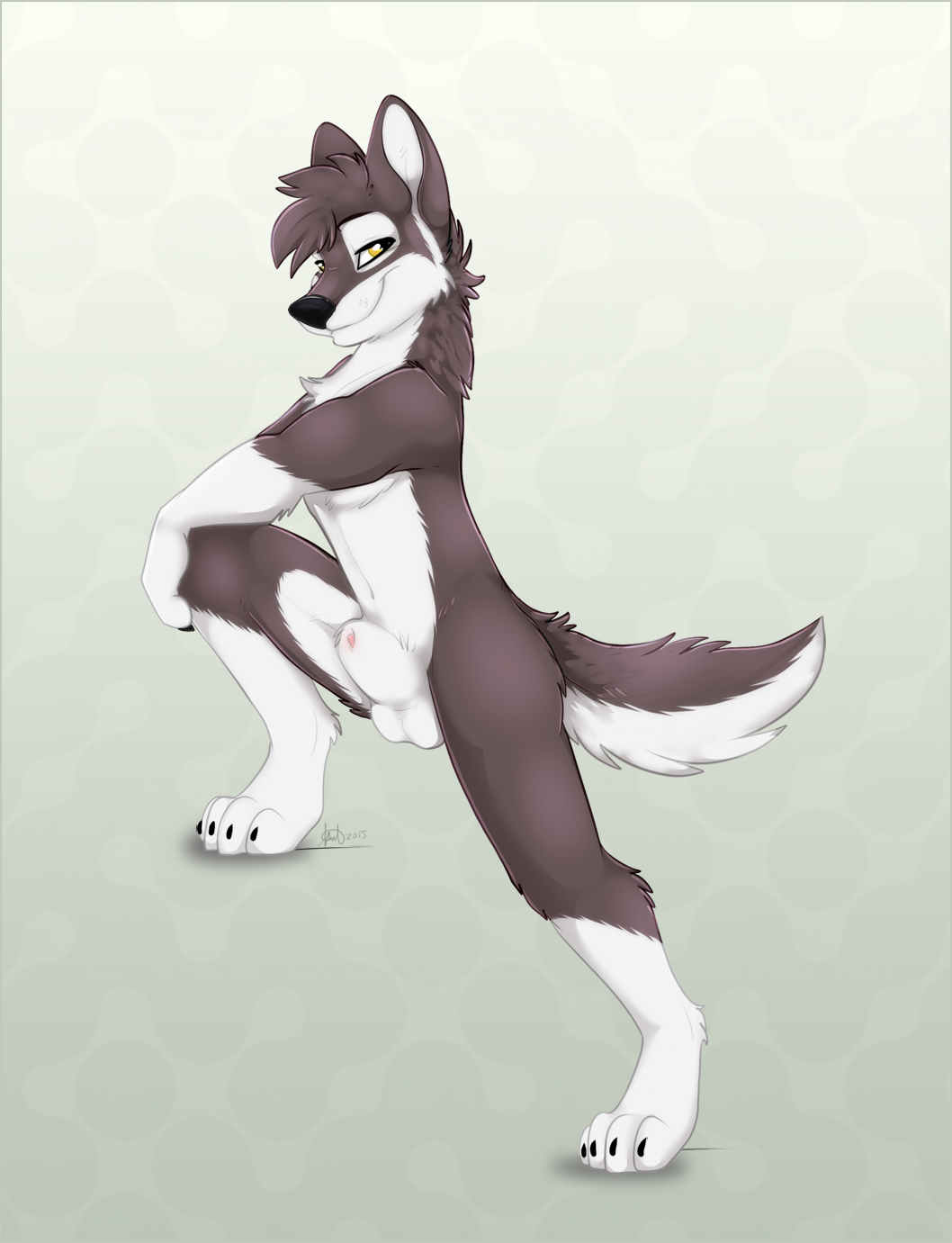 1095128_Balto_tmp_19016-stretchfasize-1541092747.png