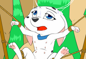 1099397_zooshi_cadpig2-inkcrop.jpg