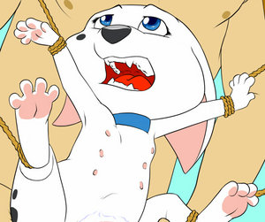 1099399_zooshi_cadpig3-inkcrop.jpg