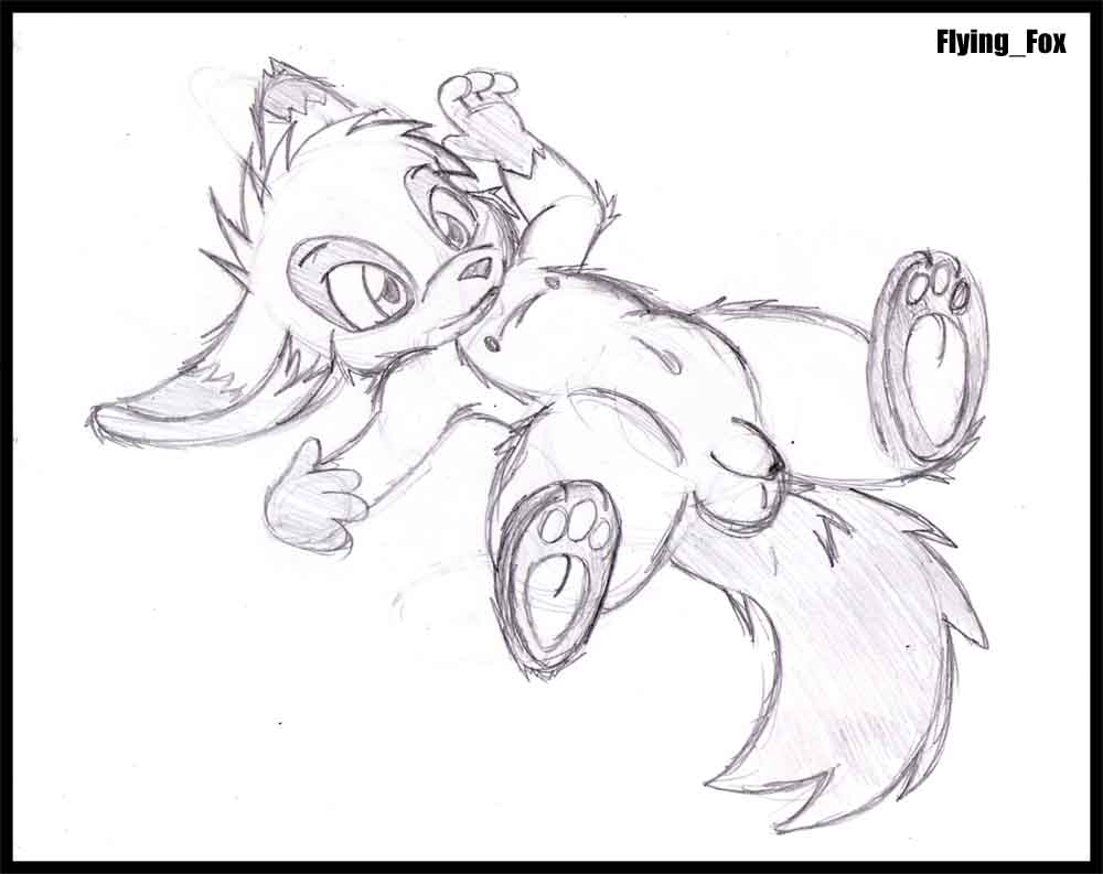 1110448_FlyingFox_1197560354.flyingfox_random_critter_copy.jpg
